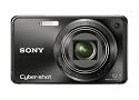 Sony Cyber-shot DSC-W290 12.1 MP Digital Camera with 5x Optical Zoom and Super Steady Shot Image Stabilization (Black)